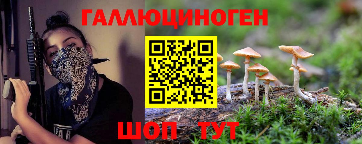 Ангарск  Псилоцибиновые грибы Psilocybine cubensis  Вход с VPN 